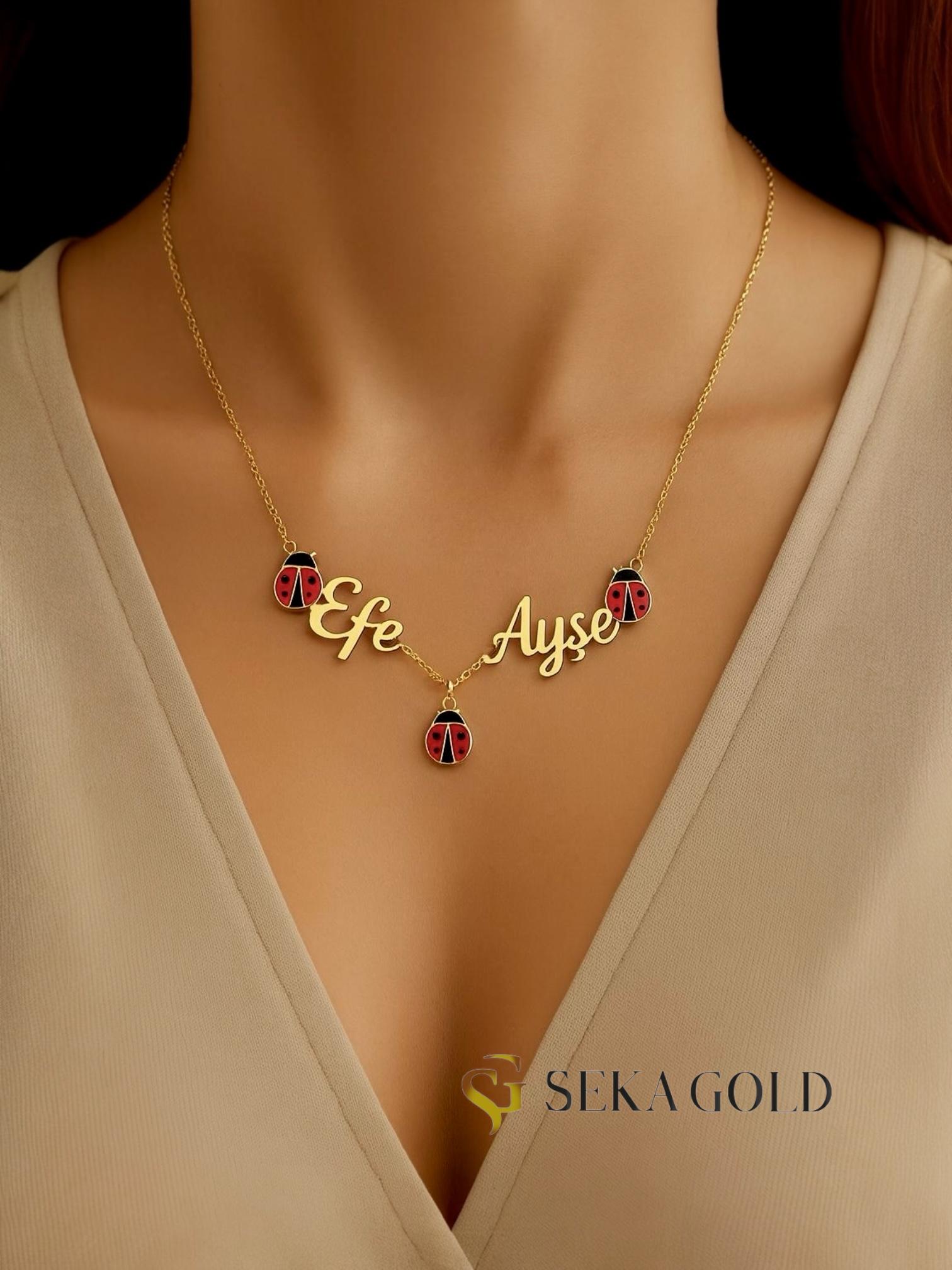 🐞İki İsimli Uğur Böceği Kolye – 925 Ayar Gümüş
