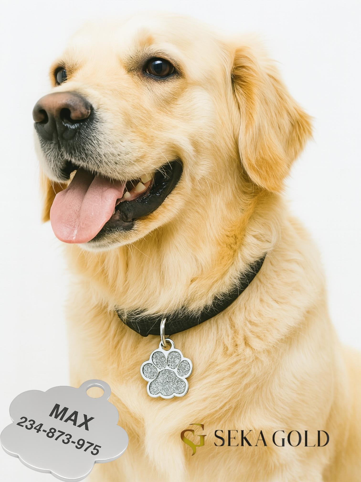 Köpek kimlik künyesi – 925 Ayar Gümüş